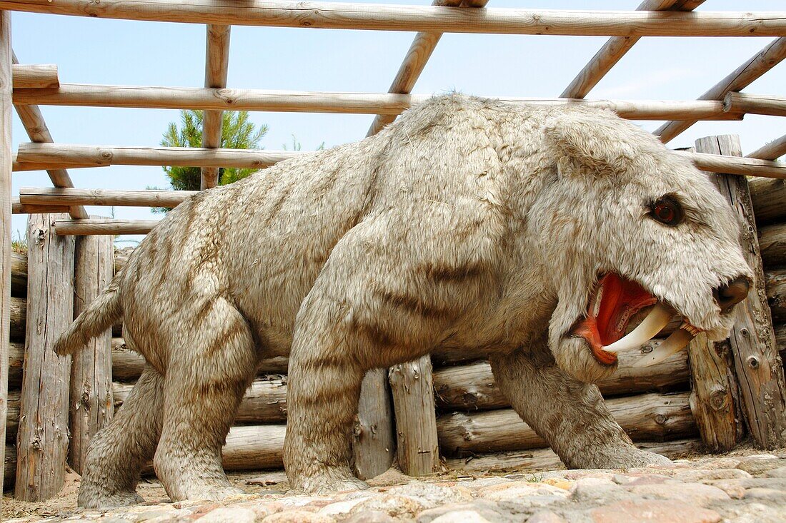 Smilodon fatalis saber-toothed cat in Leba Park dinosaur theme park, Poland