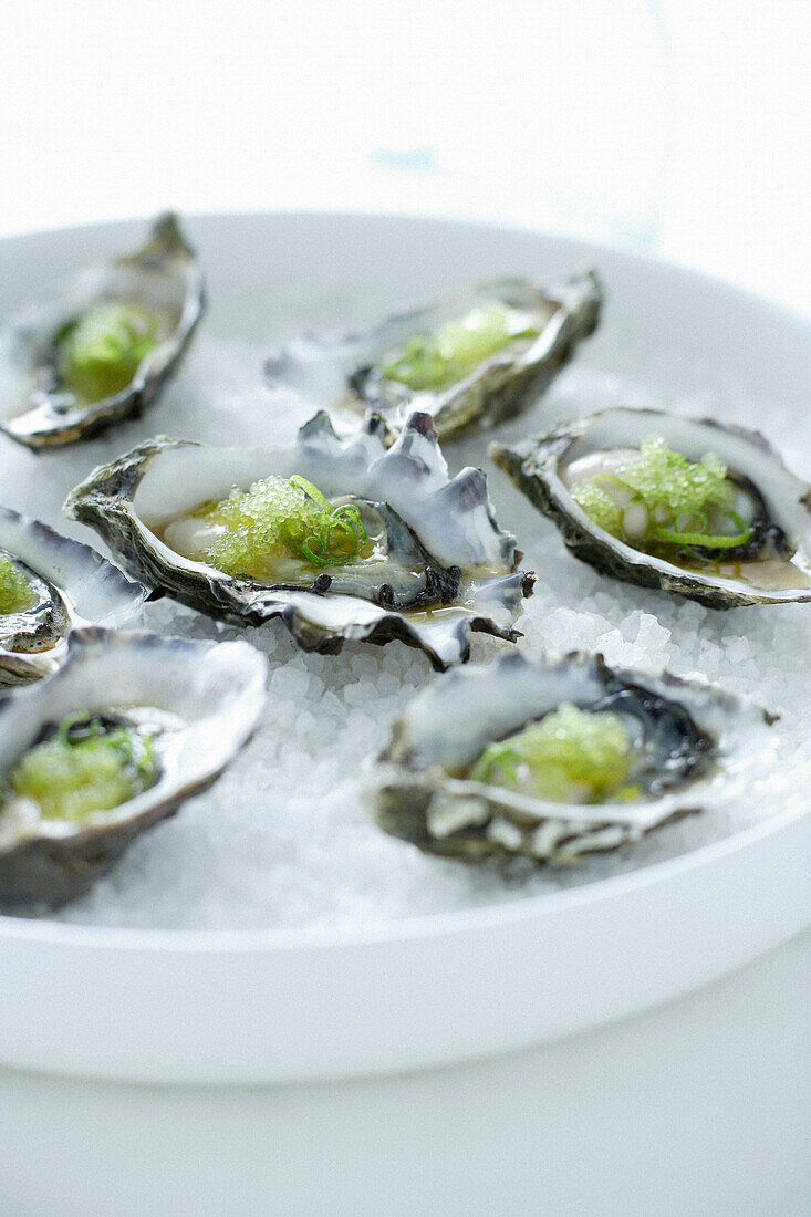 Oysters on bed of ice. Oysters, Wasabi Roe, Lime Zest, Rock Salt