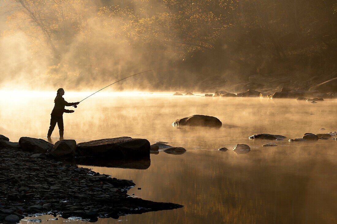 Silhouette profile of a young woman casting with a fly fishing rod by a stream early in the morning, north central, Alabama, USA.