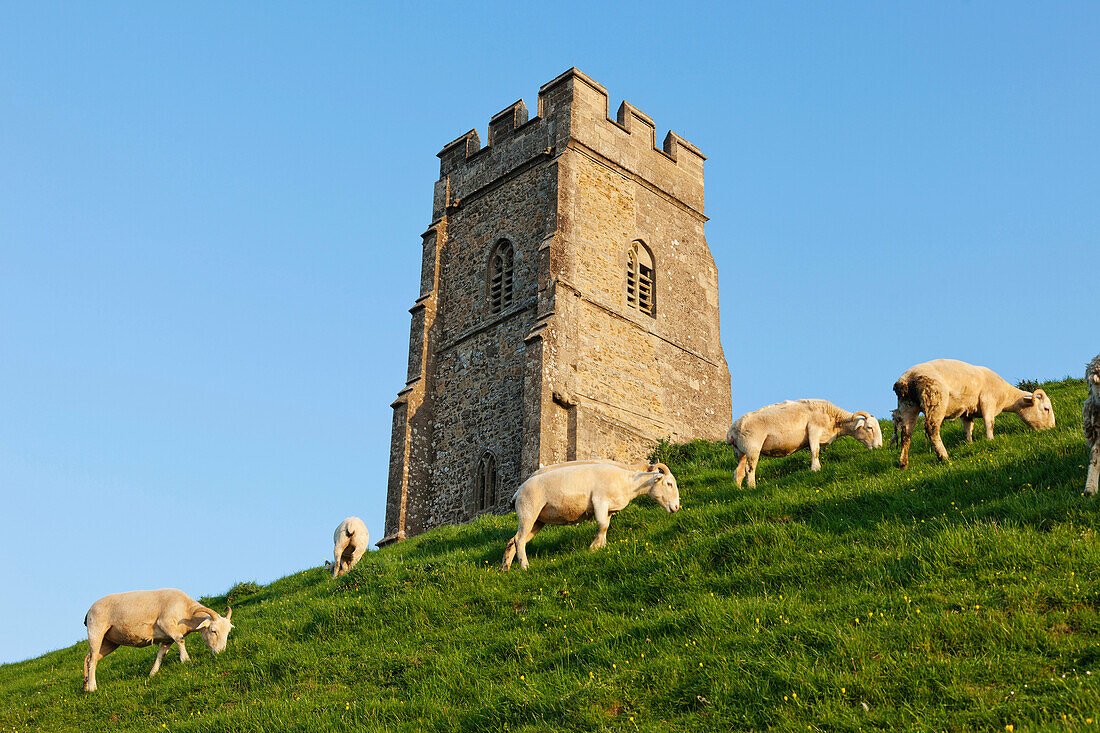 UK, United Kingdom, Great Britain, Britain, England, Europe, Somerset, Glastonbury, Glastonbury Tor, Tor, Tower,. UK, United Kingdom, Great Britain, Britain, England, Europe, Somerset, Glastonbury, Glastonbury Tor, Tor, Tower