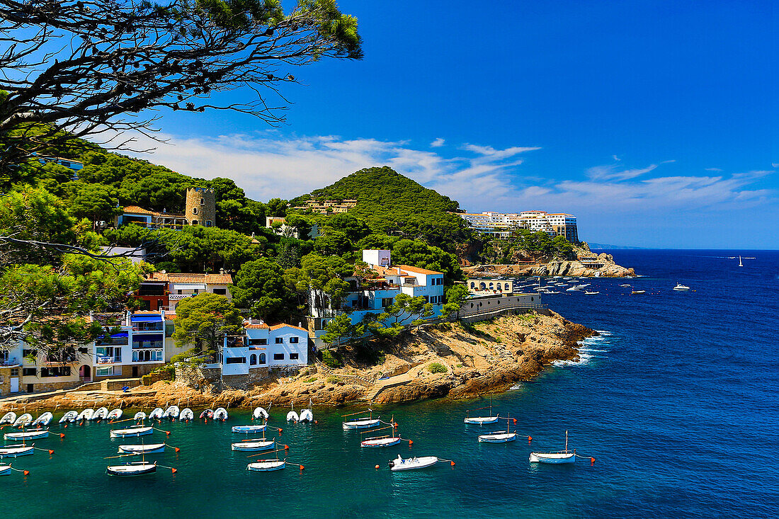 Spain, Europe, Catalonia, Girona Province, Costa Brava Coast, Begur, Sa Tuna Beach, beach, begur, blue, boats, cliff, coast, Costa Brava, girona, holyday landscape, Mediterranean, parasol, rocks, sa tuna, tossa, tourism, vacation, water, sea, white. Spain