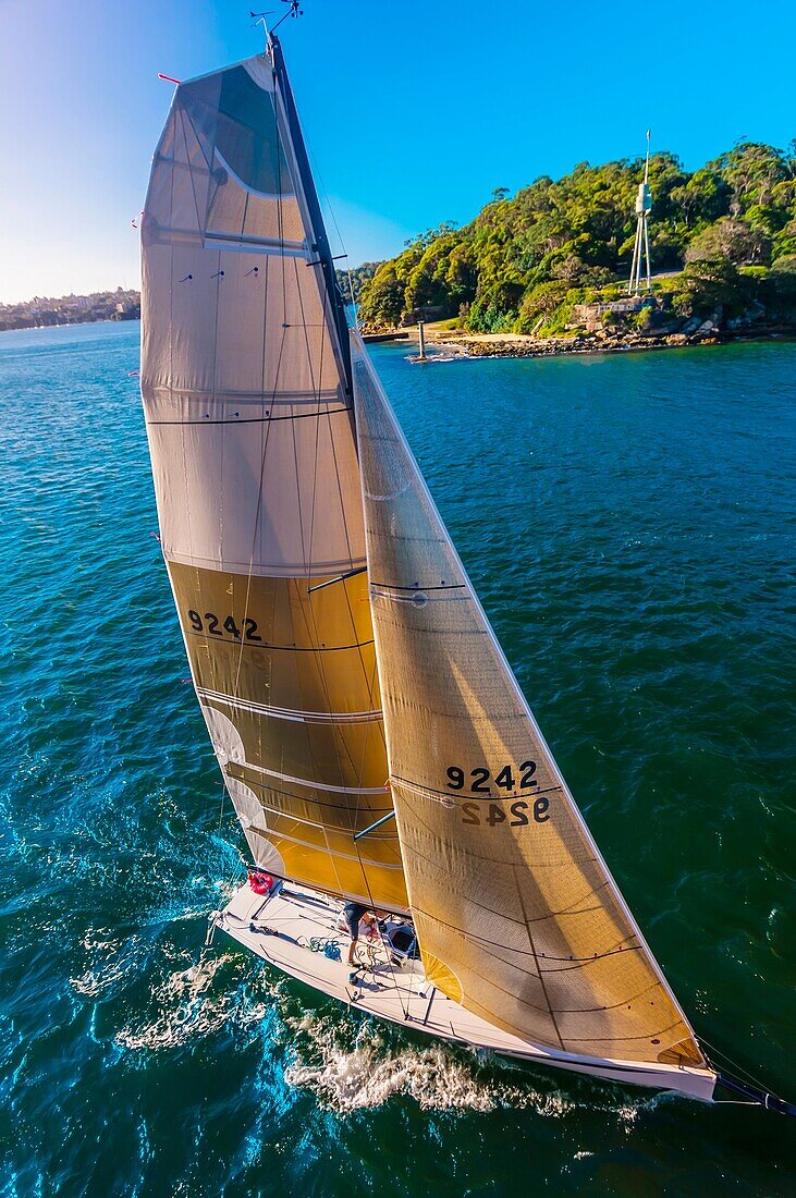 Sailboats, Sydney Harbor, Sydney, New South Wales, Australia