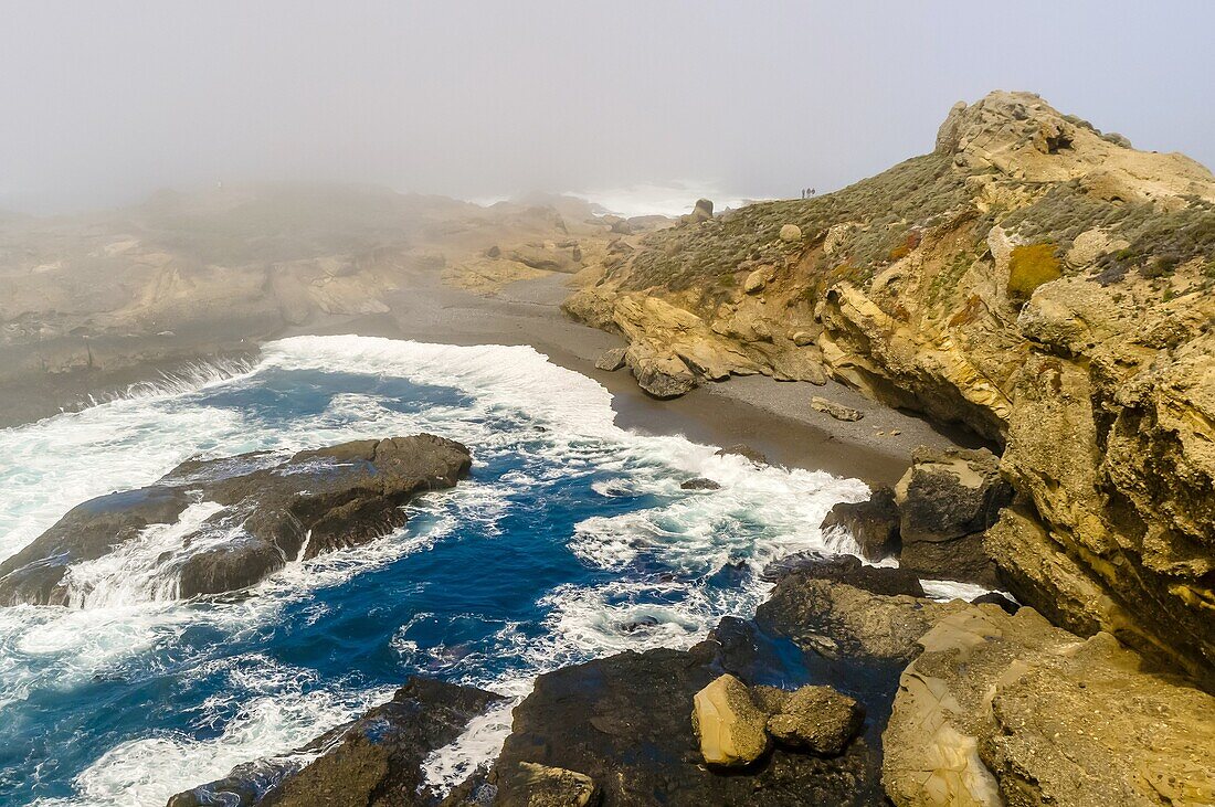 Seascape, Point Lobos State Marine Reserve, Monterey County, California USA