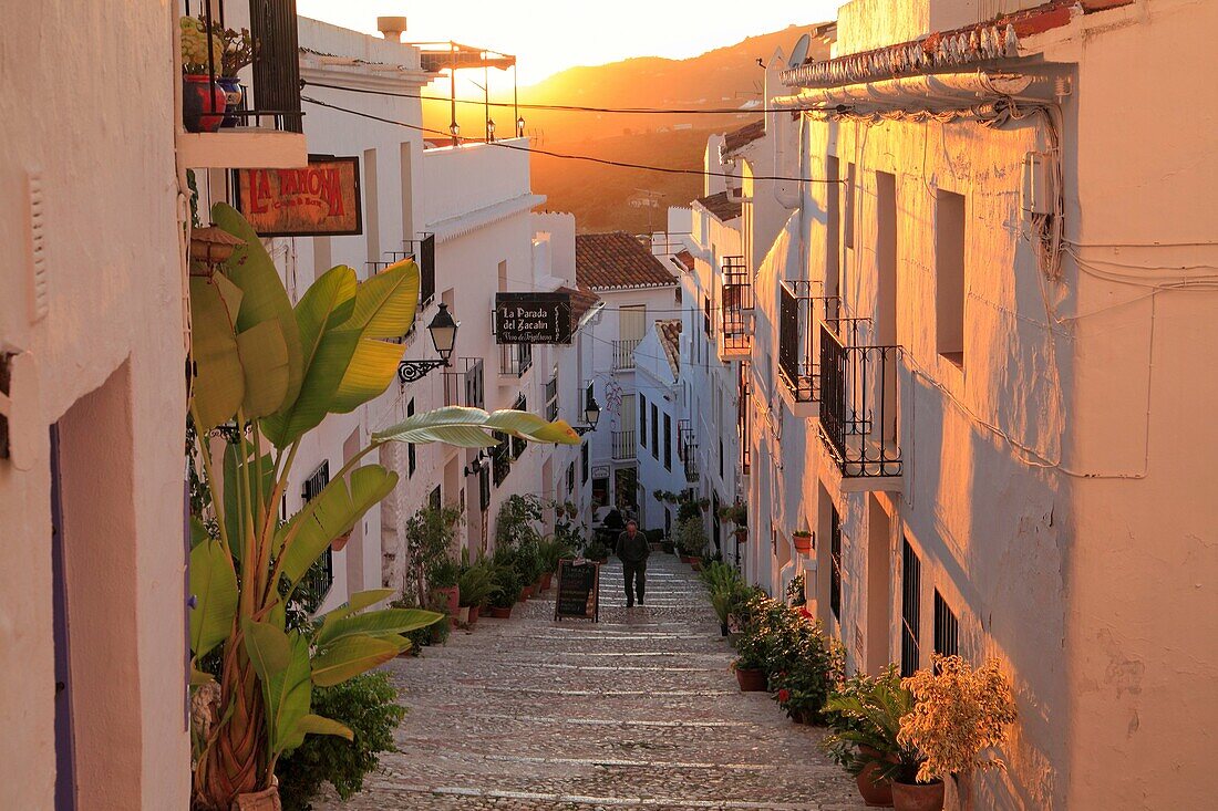 Frigiliana Costa del Sol  Malaga province, Andalusia, Spain