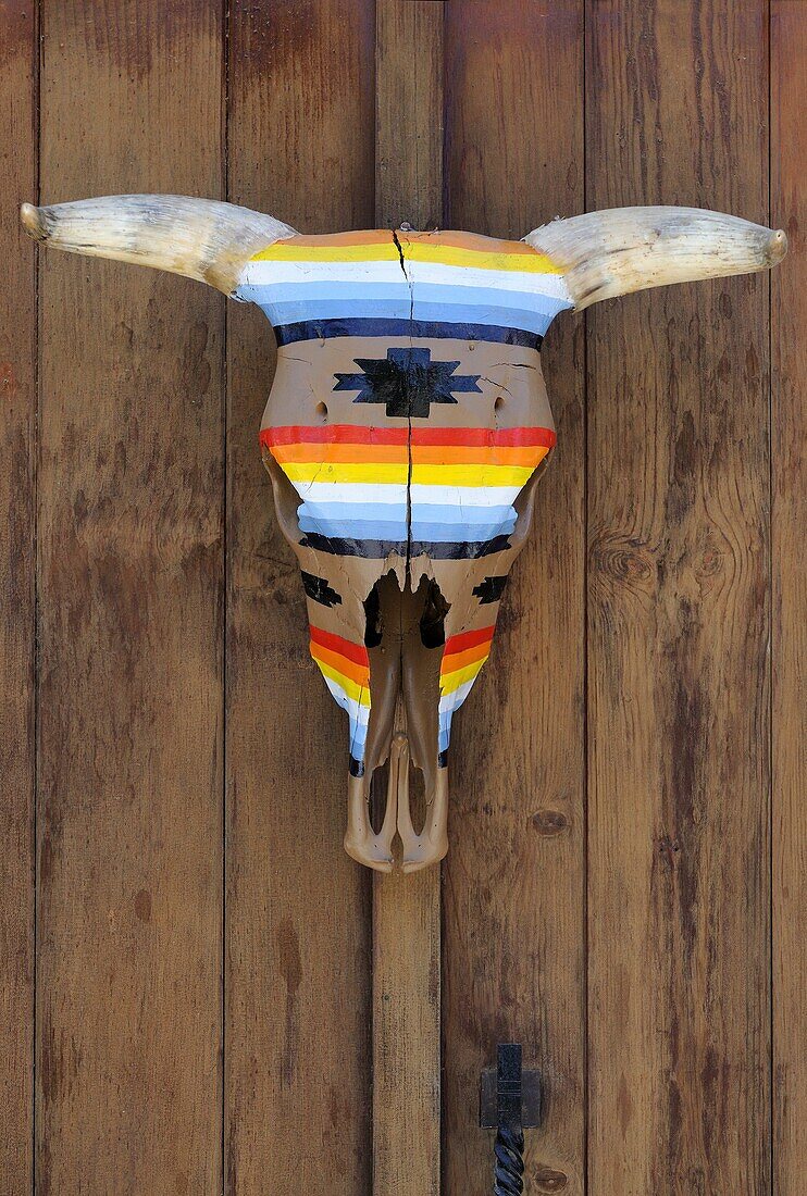 Mexico, Baja California, Todos Santos, Art Gallery, Painted cow skull