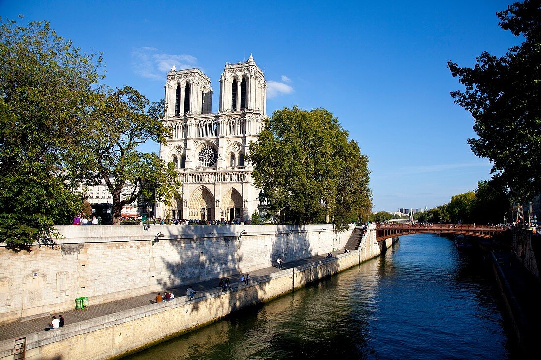 Notre Dame Cathedral, Paris, Ile de France, France, Europe