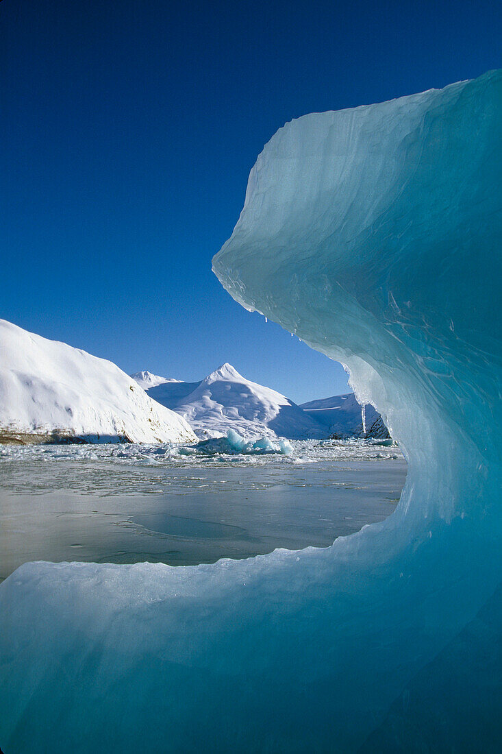 Iceberg on Frozen Portage Lake Winter Alaska