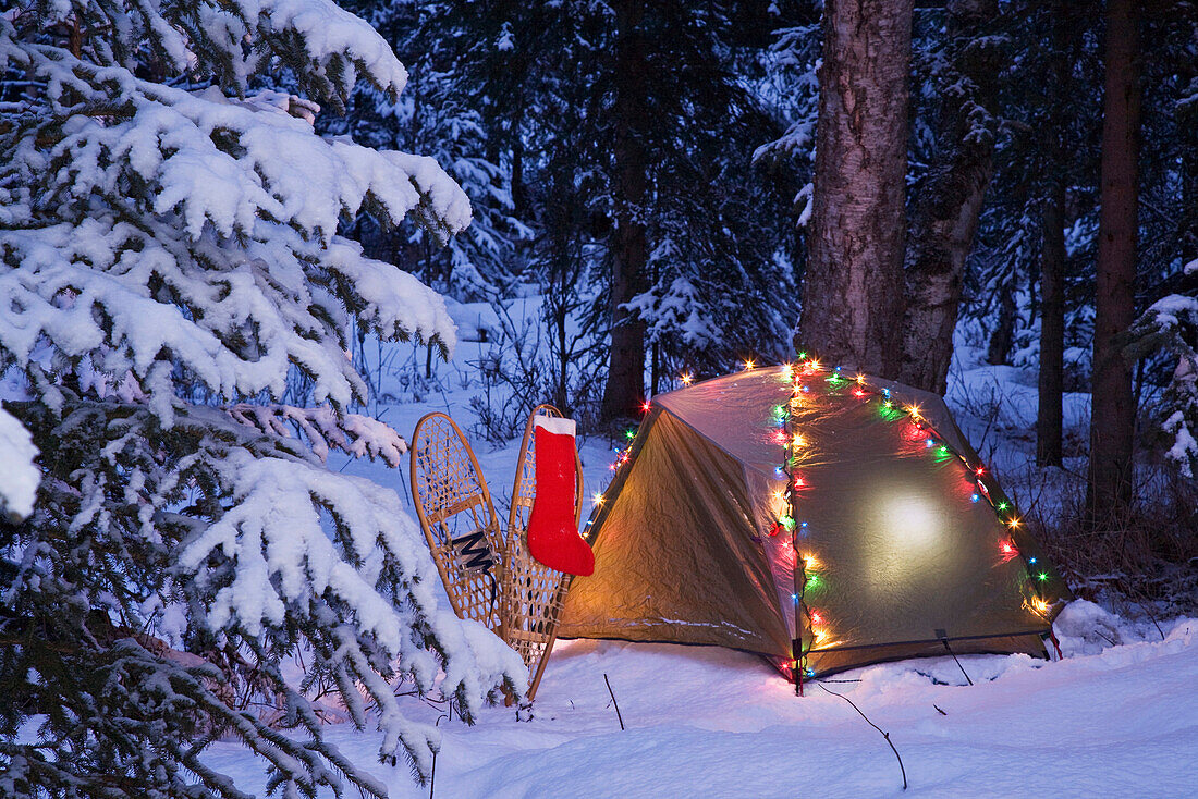 A tent is set up in the woods with Christmas lights and stocking near Anchorage, Alaska