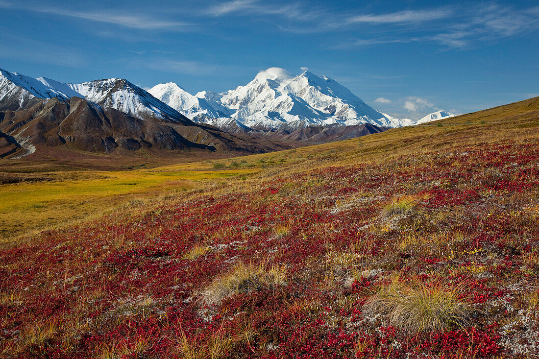 Scenic view of Mt.McKinley from Thorofare Pass with colorful Autumn tundra in the foreground, Denali National Park, Interior Alaska