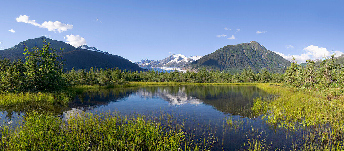 View of Mendenhall Glacier with pond and green grass in foreground Juneau Southeast Alaska Summer