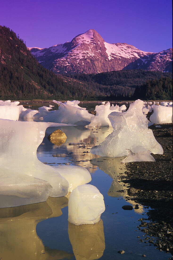 Icebergs on Beach Derickson Bay Prince William Sound SC