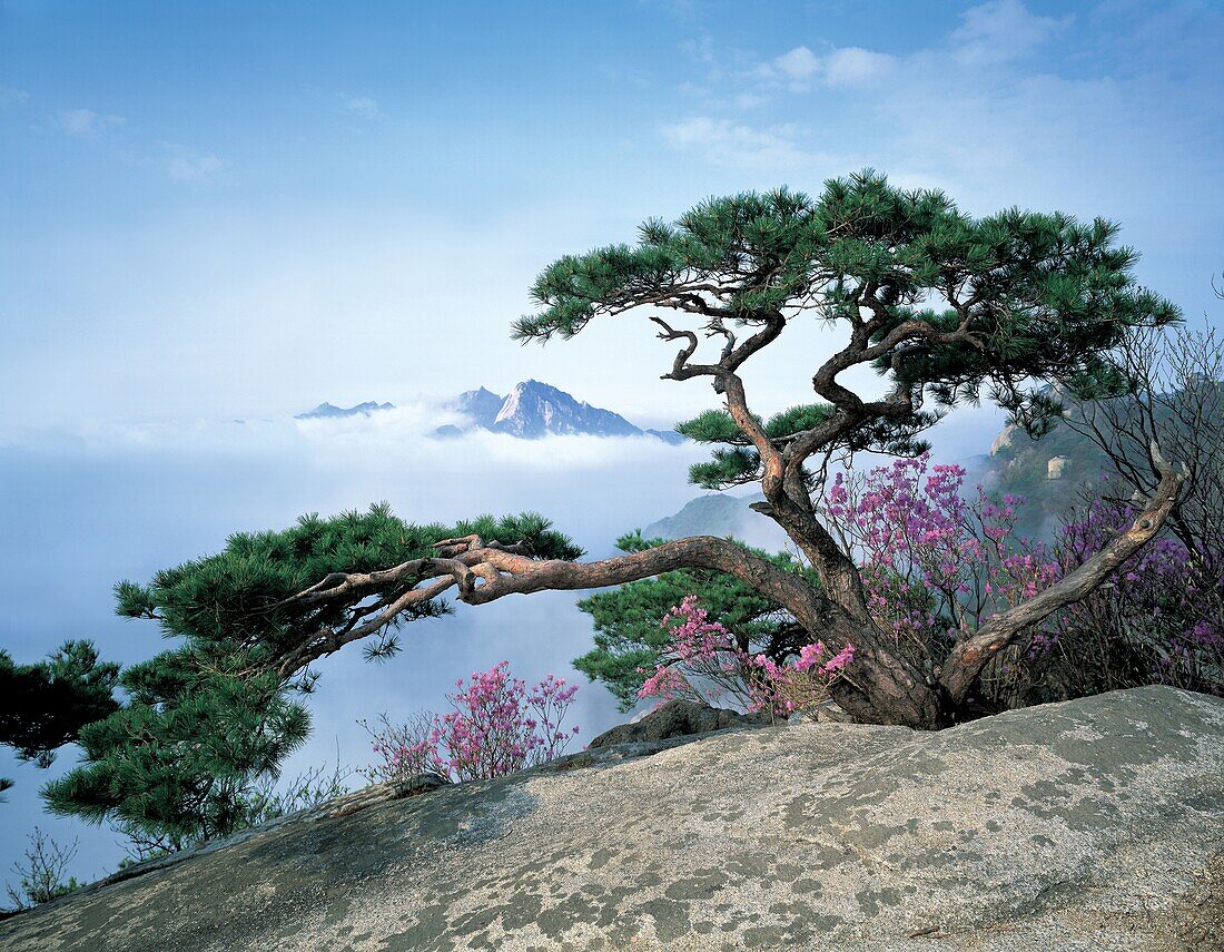 Bukhan Mountain National Park