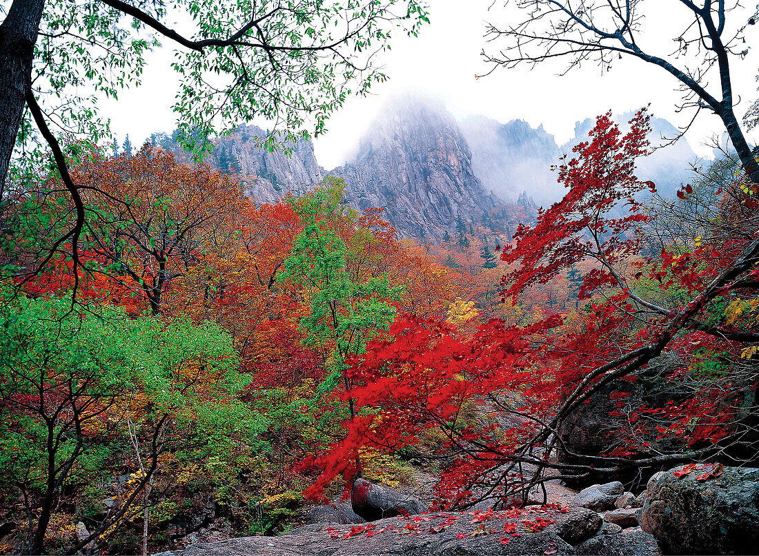 cheonbuldongvalley, Seorak Mountain, Yuseondae
