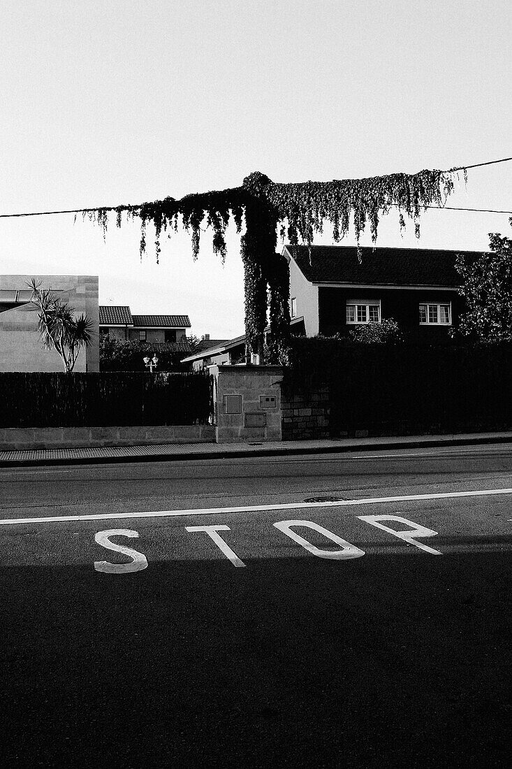 Stop on Residential Road