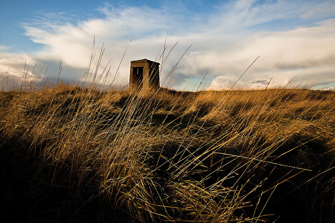 Tall Grasses and Lone Stone Structure