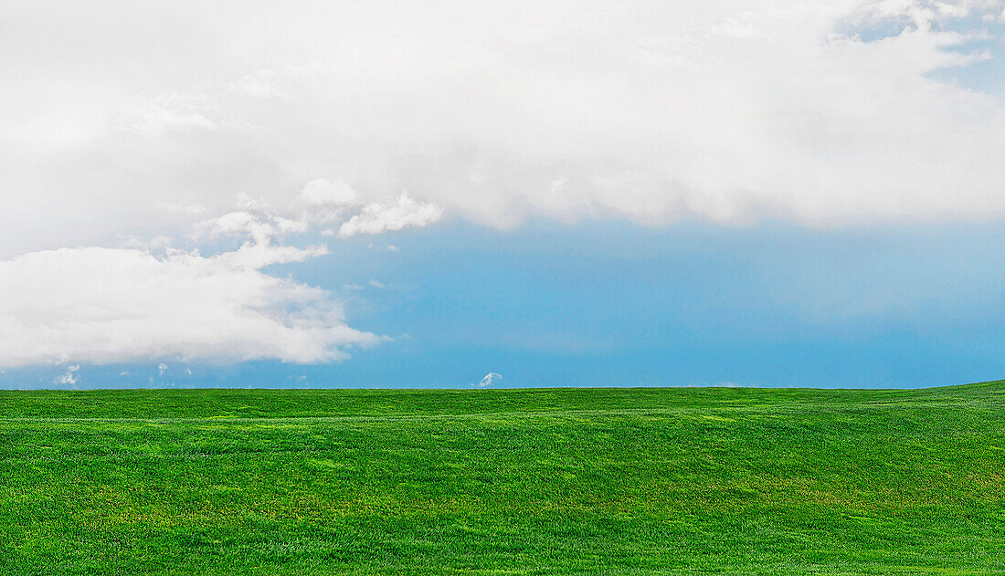 Green grassy field and blue sky with white clouds, Portland, Oregon, USA