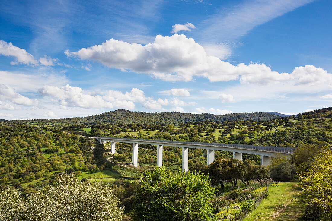 A large highway bridge, an elevated roadway across a gorge, on Sardnia.