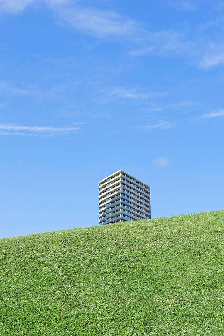 A tall modern office building, rising above a grass ridge.