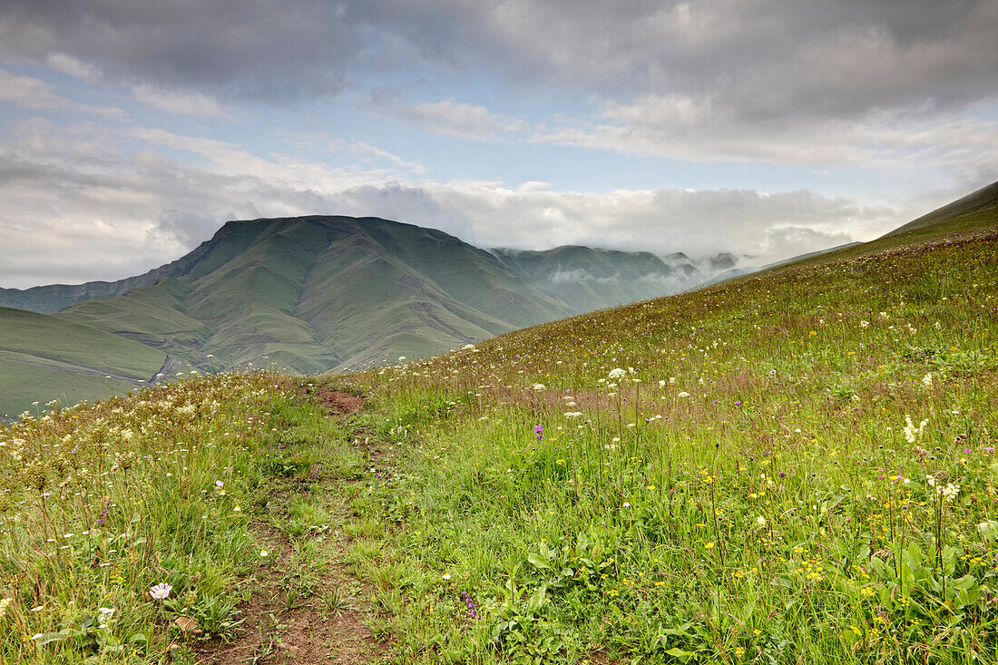 Pitan-dag mountain in fog.  The Caucusus mountain range, with wild flower meadows.