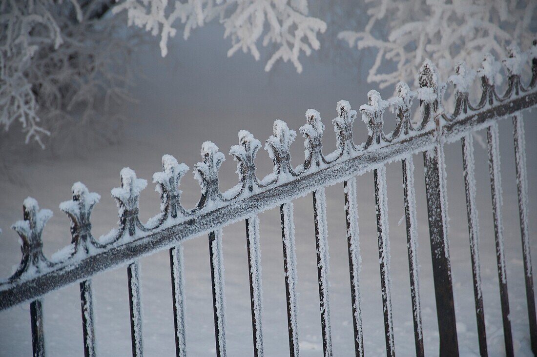 Winnipeg, Manitoba, Canada, Snow-Covered Iron Fence
