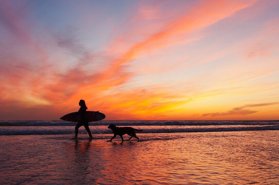 A Surfer Walks In Shallow Water With Her Dog At Sunset, Tarifa Cadiz Andalusia Spain