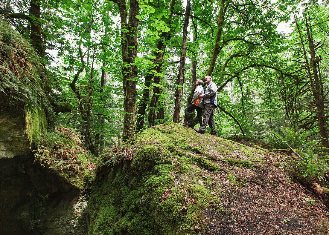 A senior couple hiking in the forest on mount tzouhalem in the cowichan valley, british columbia canada