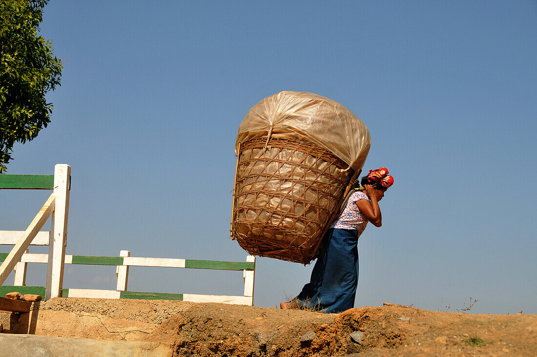 Frau mit einem großen Korb, bei Nyaungshwe am Inle See, Myanmar, Burma, Asien