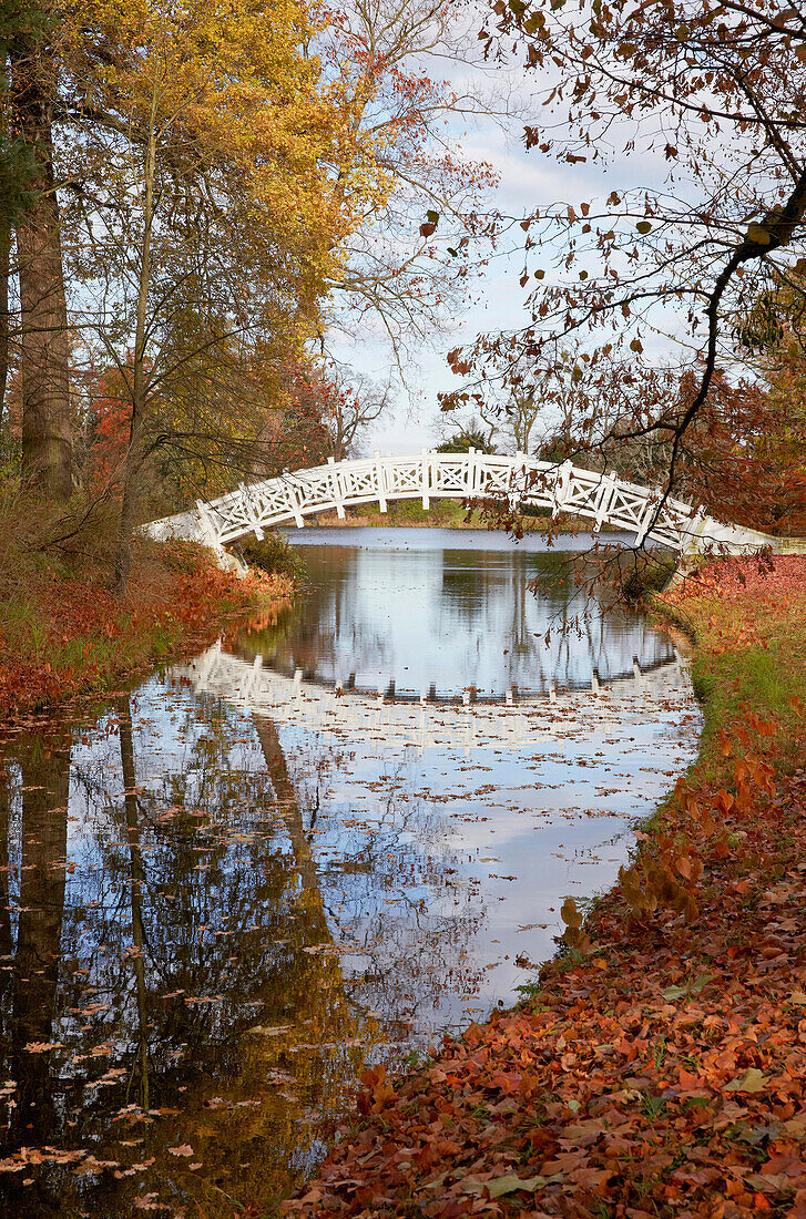 White bridge in Autumn, Woerlitz Garden Realm, Saxony-Anhalt, Germany