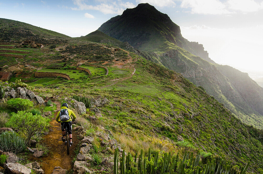Mountainbiker im Gelände, Nationalpark Teide, Teneriffa, Kanarische Inseln, Spanien