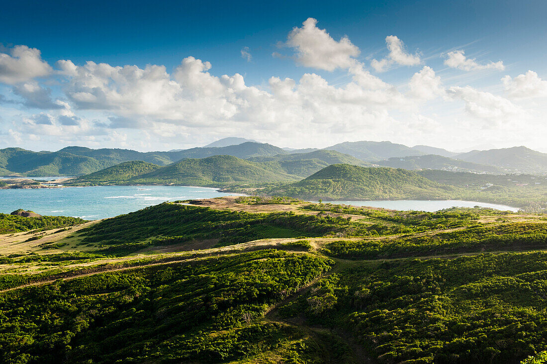 Küstenlandschaft mit Kaktus, St Lucia, Windward Islands, Kleine Antillen, Karibik