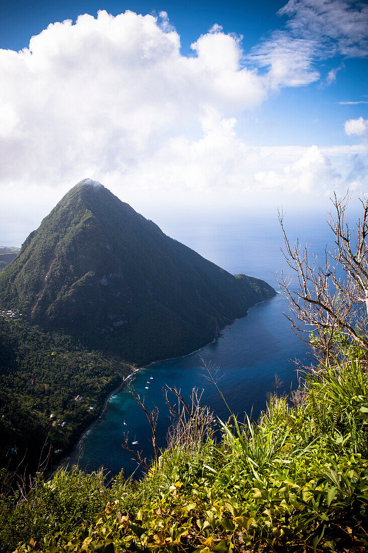 Karibischer Berg an Küste, Petit Piton, St. Lucia, Windward Islands, Kleine Antilen, Karibik