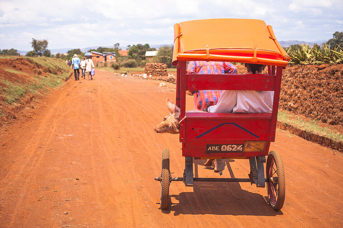 Rickshaw driving down a street, Madagascar, Africa
