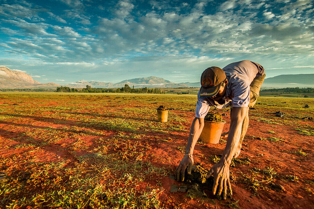 Bauer arbeitet auf einem Feld, Madagaskar, Afrika