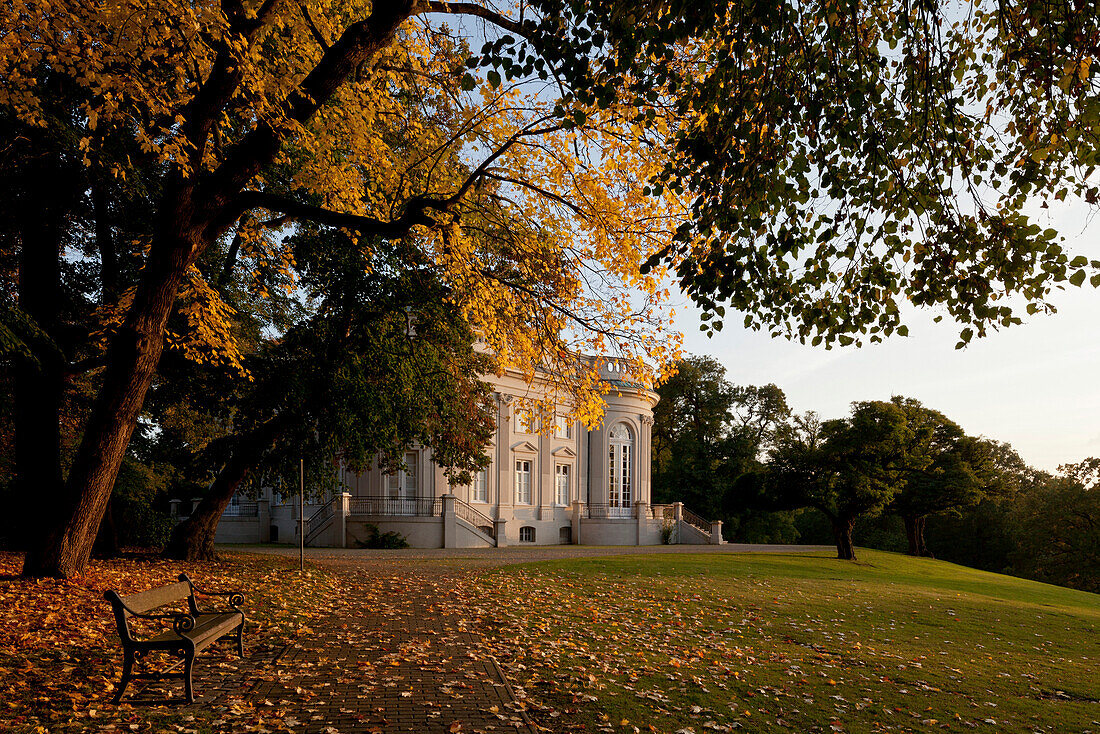 Schloss Richmond in Braunschweig, Bäume im Herbstlaub, Braunschweig, Niedersachsen, Deutschland, Braunschweig, Niedersachsen, Deutschland