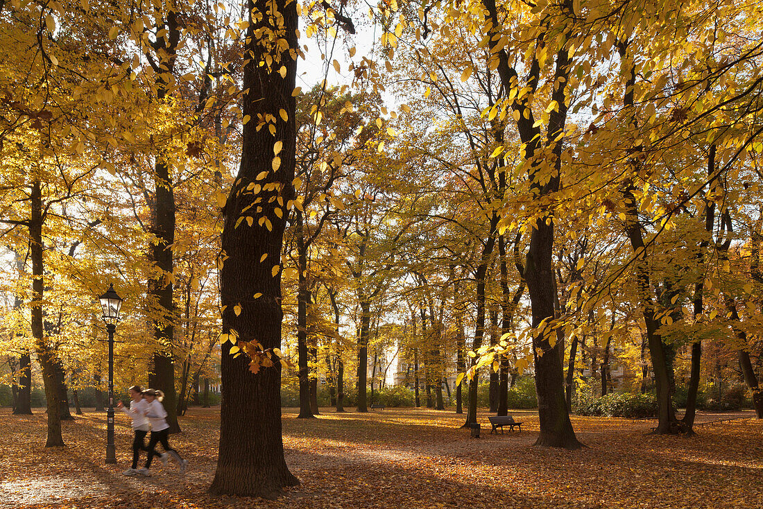 Two joggers running in Brunswick park through autumn leaves, Brunswick, Lower Saxony, Germany