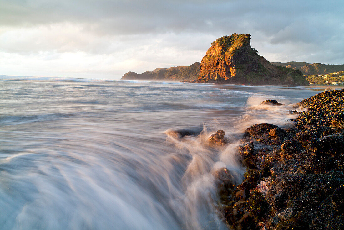 Felsformation mit Seesternen,Muscheln und Tangsträngen,verwischtes Wasser,Lion Rock,Piha Beach im Abendrot,Meeresströmungen,Nordinsel,Neuseeland