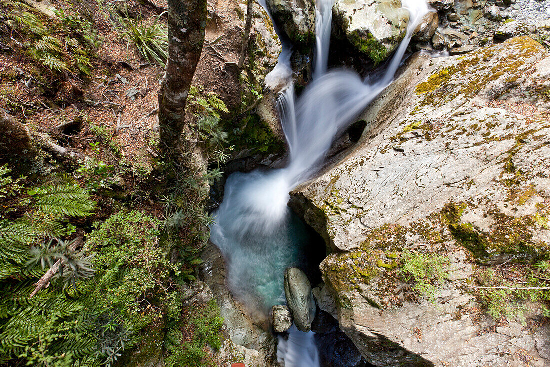 blocked for illustrated books in Germany, Austria, Switzerland: Waterfall flowing between rocks with moss and lichten, South Island, New Zealand