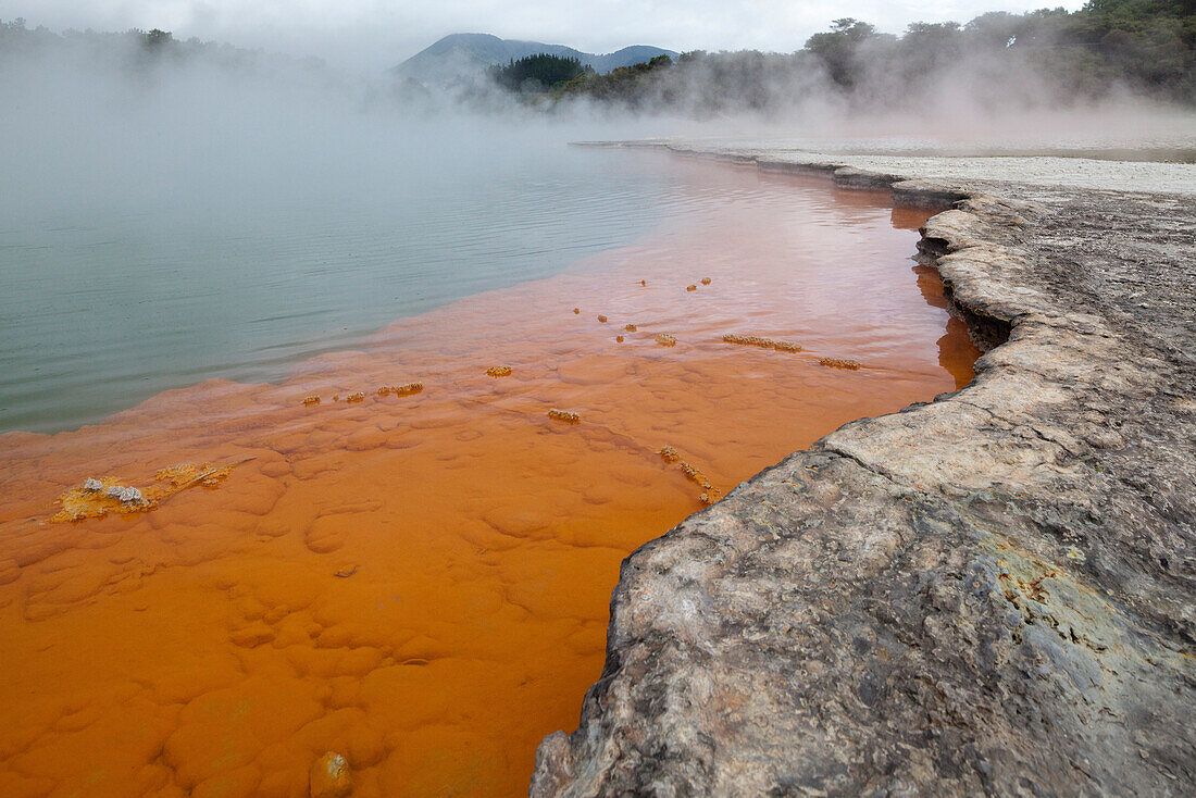 Champagne Pool mit Kohlendioxyd-Gasblasen und Mineralien,Waio-tapu Kratersee,Thermalpark bei Rotorua,North Island,Neuseeland