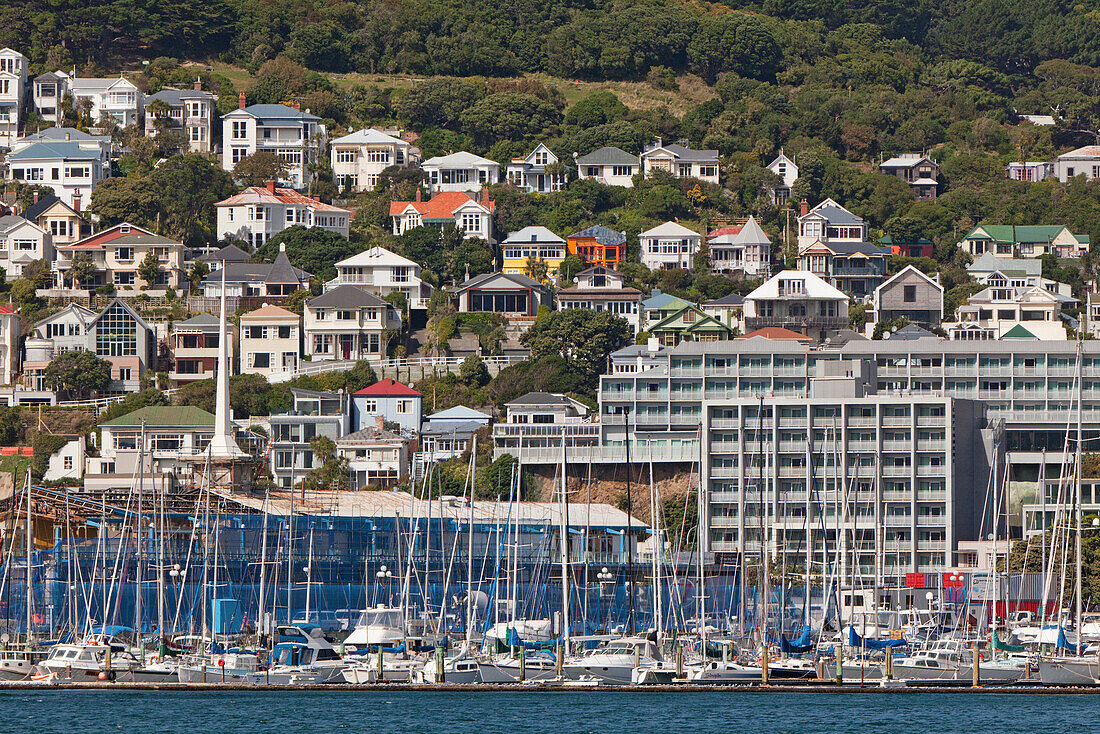 Historische Holzhäuser an den Steilhängen des Wellington Harbour,Hauptstadt,Wellington,Nordinsel,Neuseeland