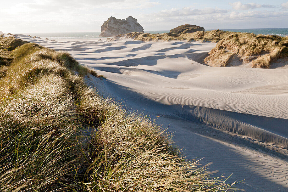 blocked for illustrated books in Germany, Austria, Switzerland: Sanddunes and marram grass at Wharariki Beach, South Island, New Zealand