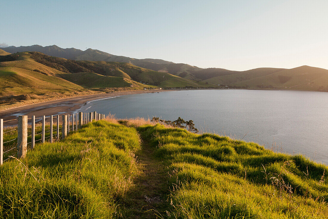 Blick über die Bucht von Port Jackson, Coromandel Halbinsel, Coromandel Halbinsel, Nordinsel, Neuseeland