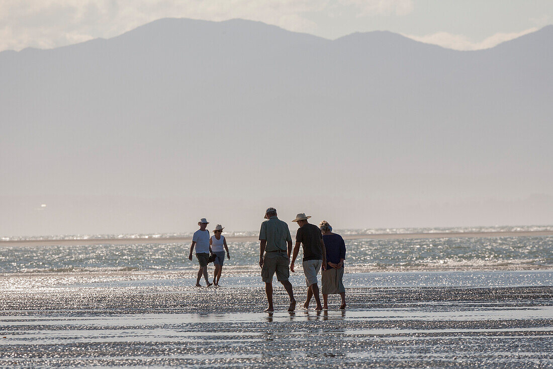 Menschen wandern am Strand, Nelson, Südinsel, Neuseeland