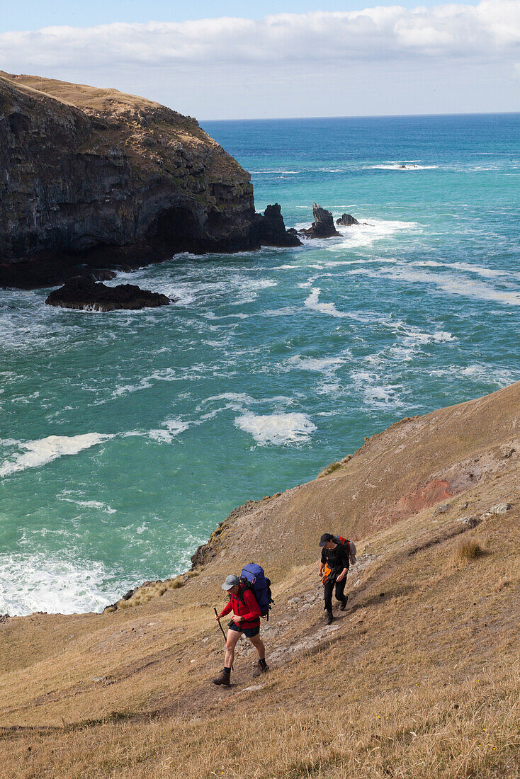 Hikers on a coastal walk, Banks Track Walk, Banks Peninsula, Canterbury, South Island, New Zealand
