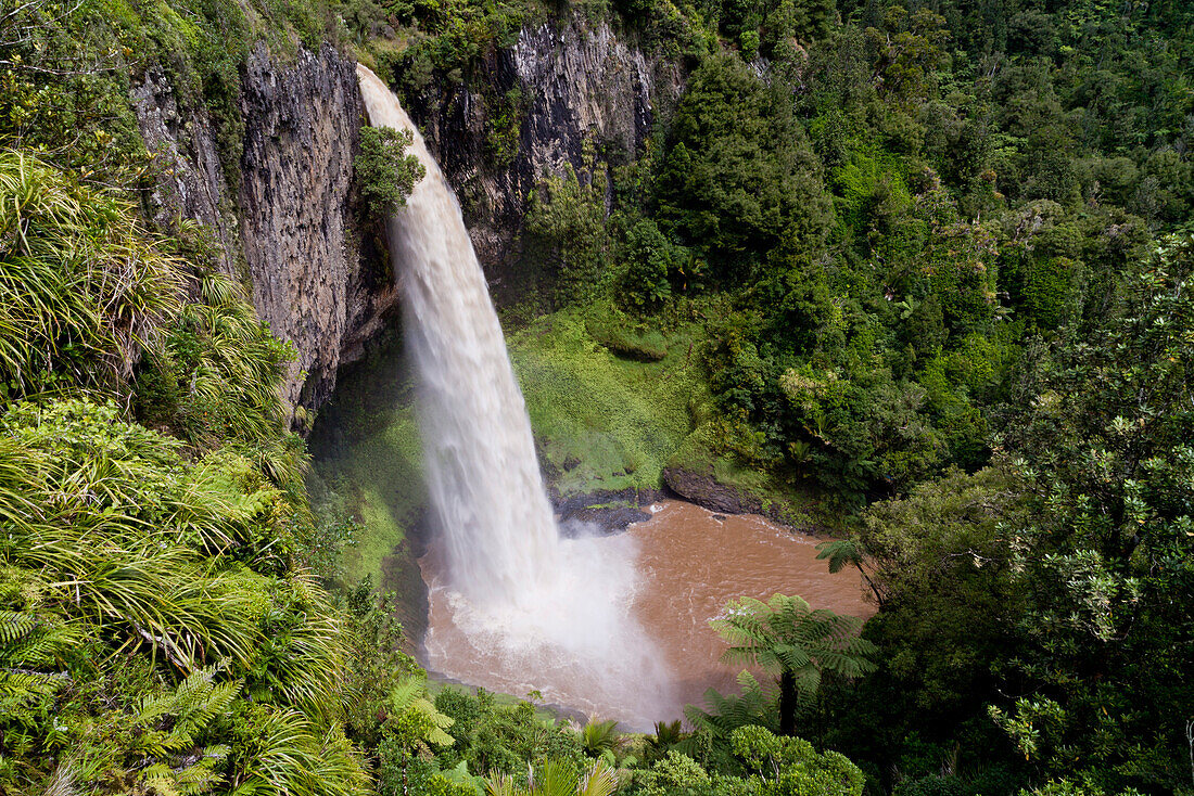 Bridal Veil Falls with lush vegetation, tourist attraction near Raglan Beach, Waikato, North Island, New Zealand