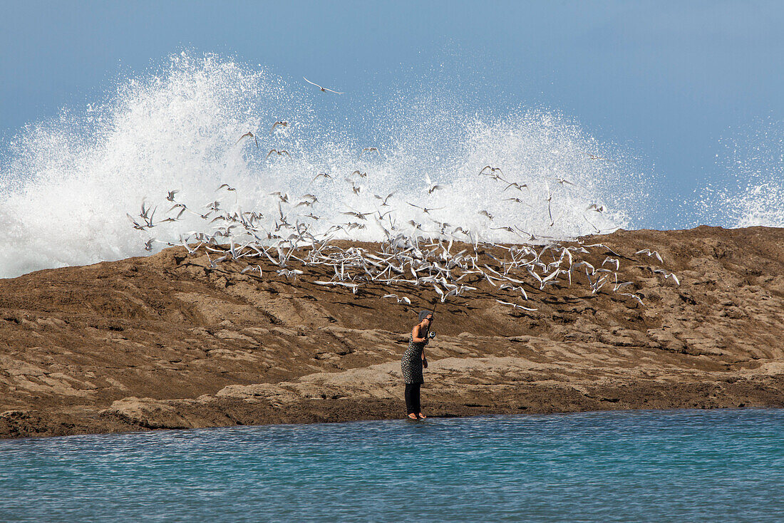 Frau beim Angeln, Castle Point, Küstenlandschaft mit Vogelschwarm, Castle Point, Nordinsel, Neuseeland
