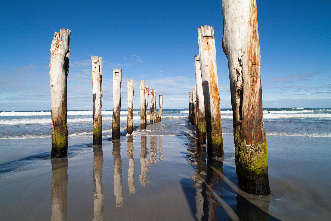 Holzpfeiler einer ehemaligen Seebrücke im Sandstrand, St Clair, Dunedin, Otago, Südinsel, Neuseeland