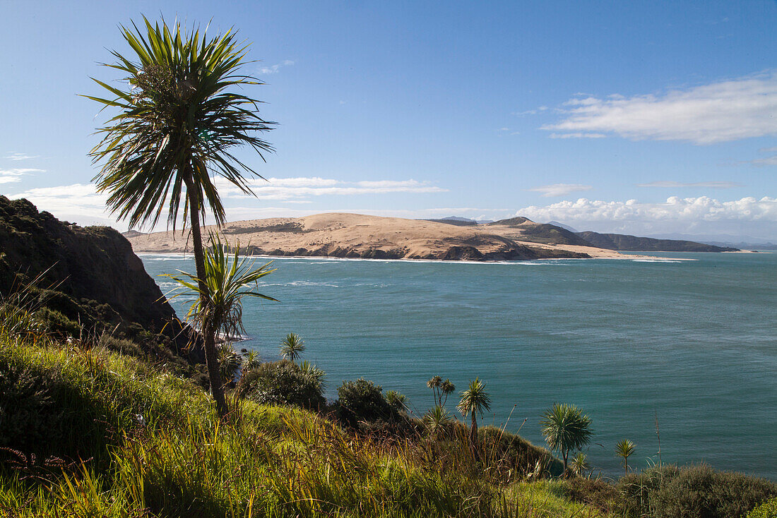 Hokianga Harbour with sand dunes in the distance, Northland, North Island, New Zealand
