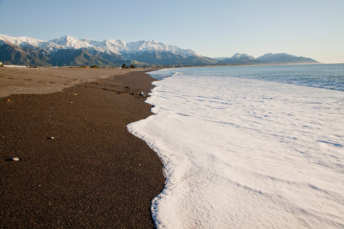 Strand und Schneegebirge bei Kaikoura, grober Sandstrand bei Kaikoura, Südinsel, Neuseeland