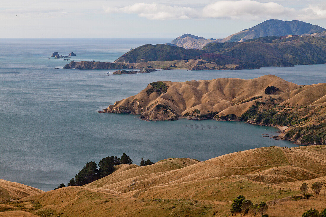 View of peninsulas at the French Pass, Marlborough Sounds, South Island, New Zealand