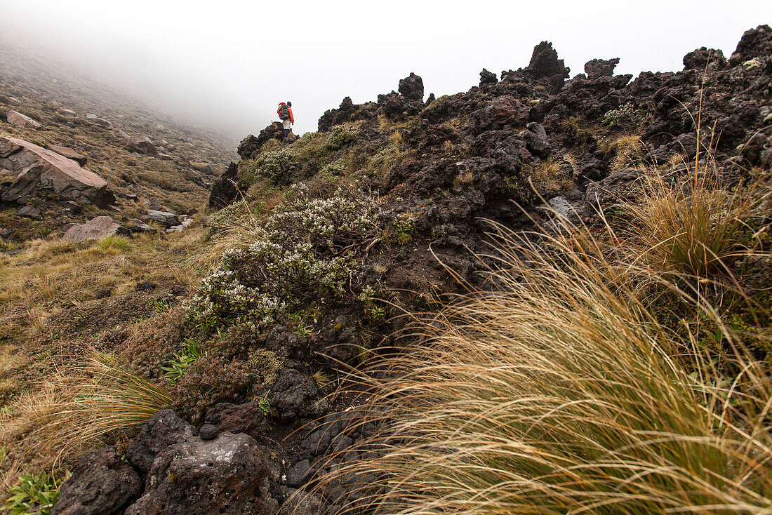 Trek through volcanic terrain, Tongariro Alpine Crossing, Great Walk, Tongariro National Park, World Heritage, North Island, New Zealand